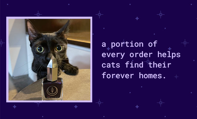a portion of every order helps cats find their forever homes.
